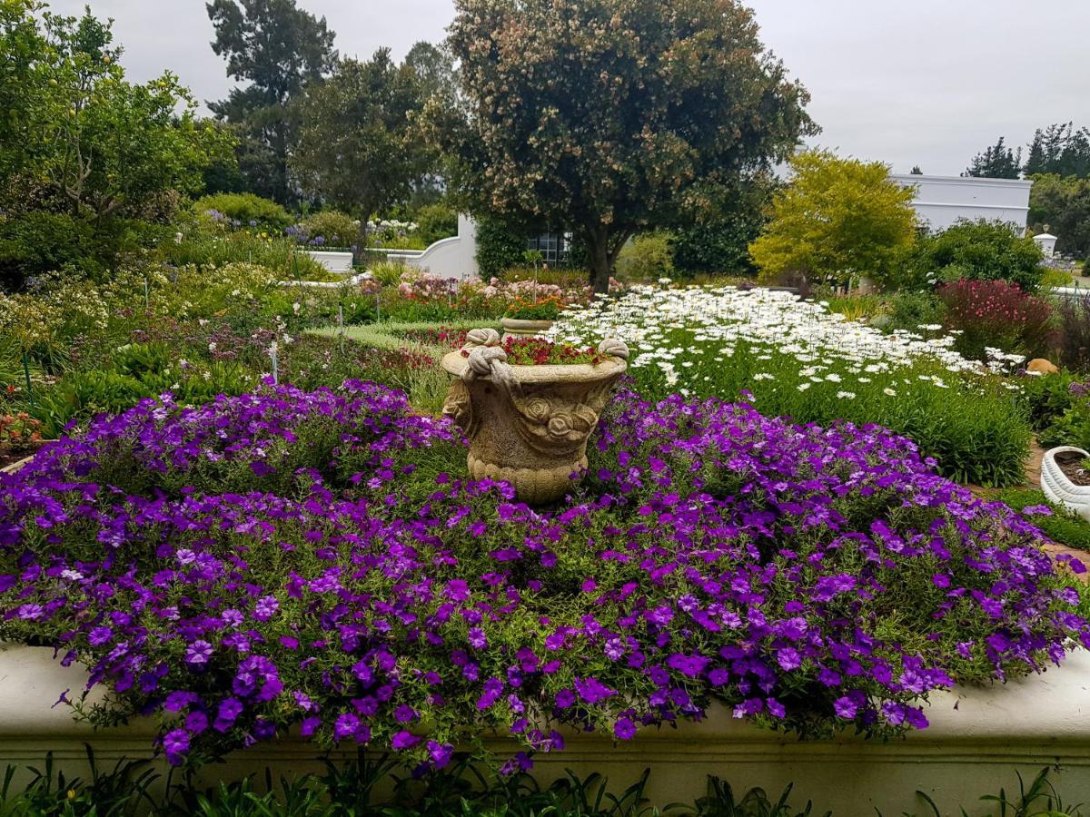 Greenhill Farm Cape Dutch - 1 Bedroom Private Ferienhaus